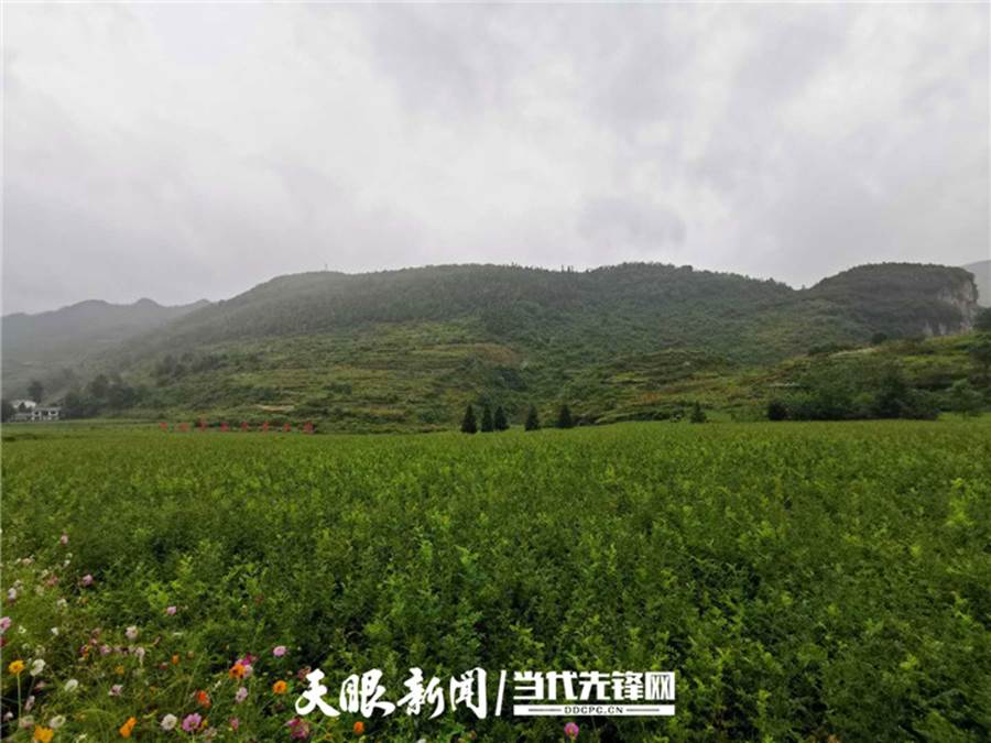 http://www.gzswtzb.org.cn/gztyzxlxhyxw/202009/W020200925337402292201.jpg