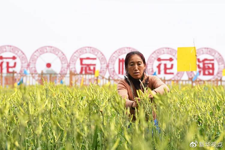http://www.xinhuanet.com/politics/leaders/2020-05/12/1125976344_15892917229631n.jpg http://www.xinhuanet.com/politics/leaders/2020-05/12/1125976344_15892917229631n.jpg