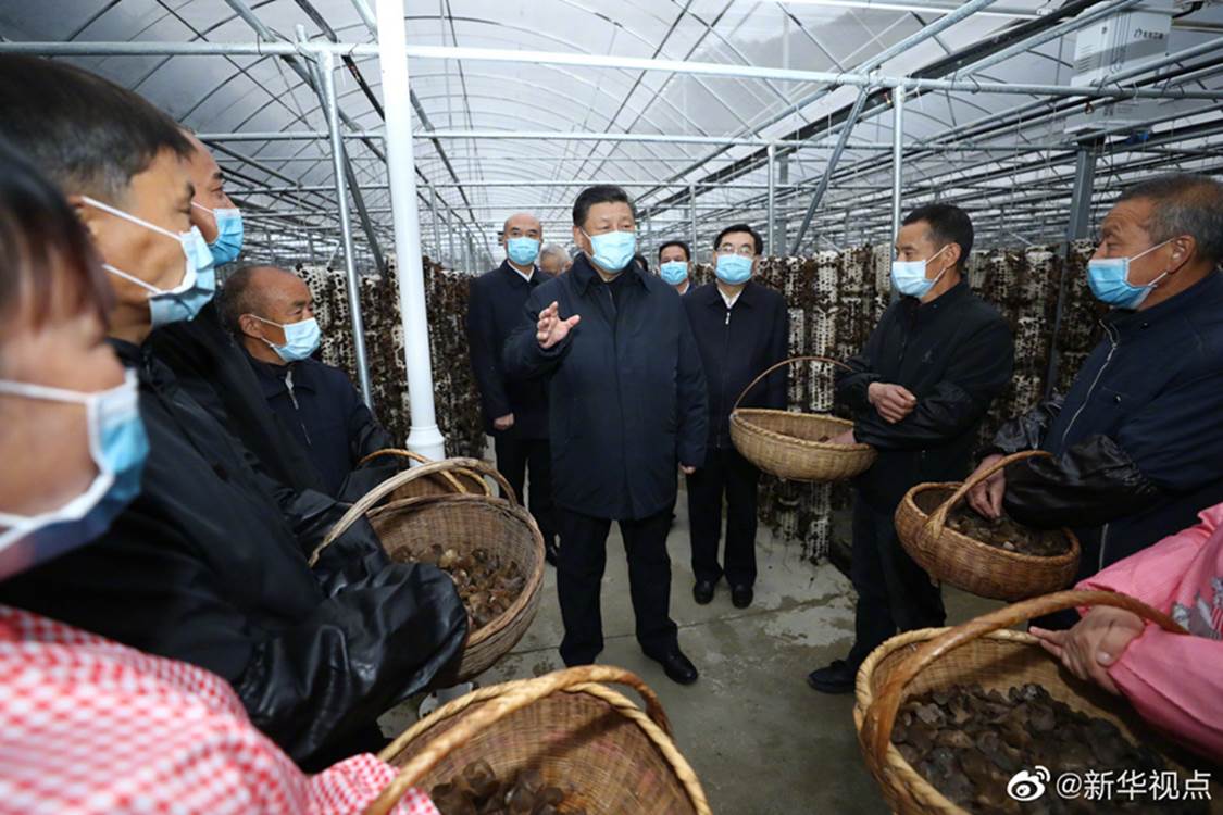 说明: http://www.xinhuanet.com/politics/leaders/2020-04/20/1125882430_15873959734751n.jpg
