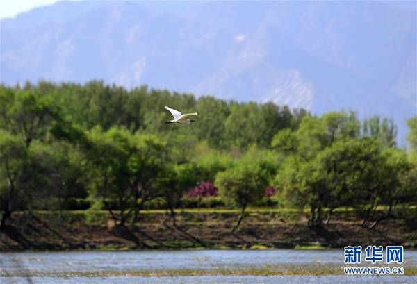 http://www.xinhuanet.com/politics/2019-05/05/1124451945_15570355791181n.jpg