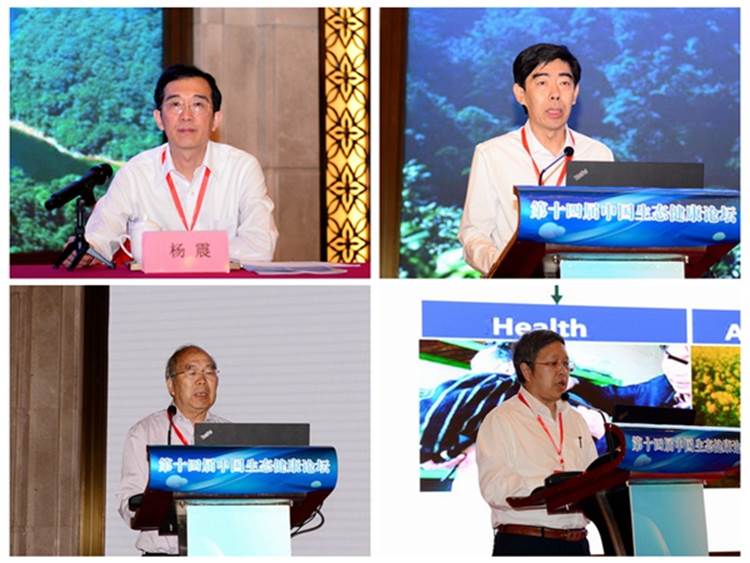 http://www.ngd.org.cn/images/content/2019-06/20190613233306447768.jpg http://www.ngd.org.cn/images/content/2019-06/20190613233306447768.jpg