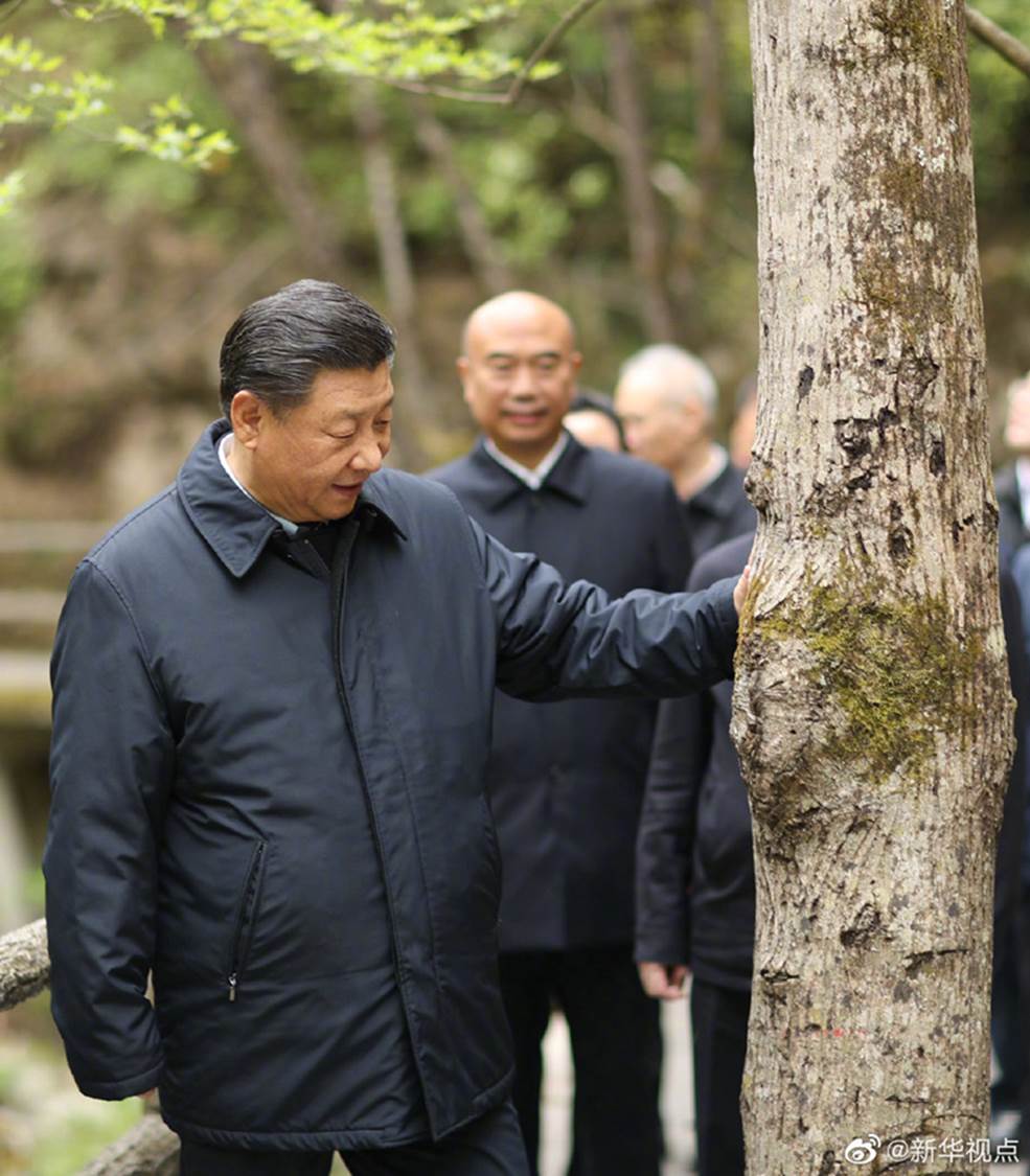 说明: http://www.xinhuanet.com/politics/leaders/2020-04/20/1125882430_15873959270271n.jpg