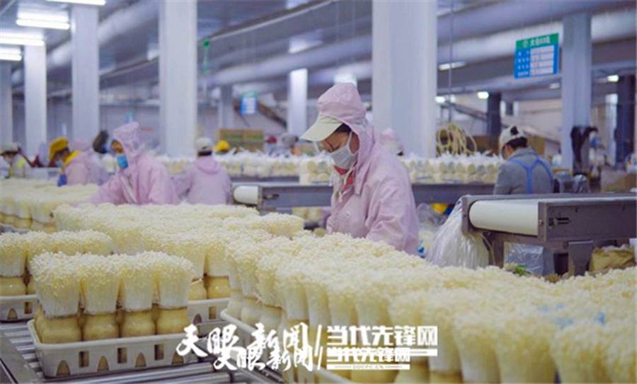 http://www.gzswtzb.org.cn/gztyzxlxhyxw/202009/W020200925337402357086.jpg